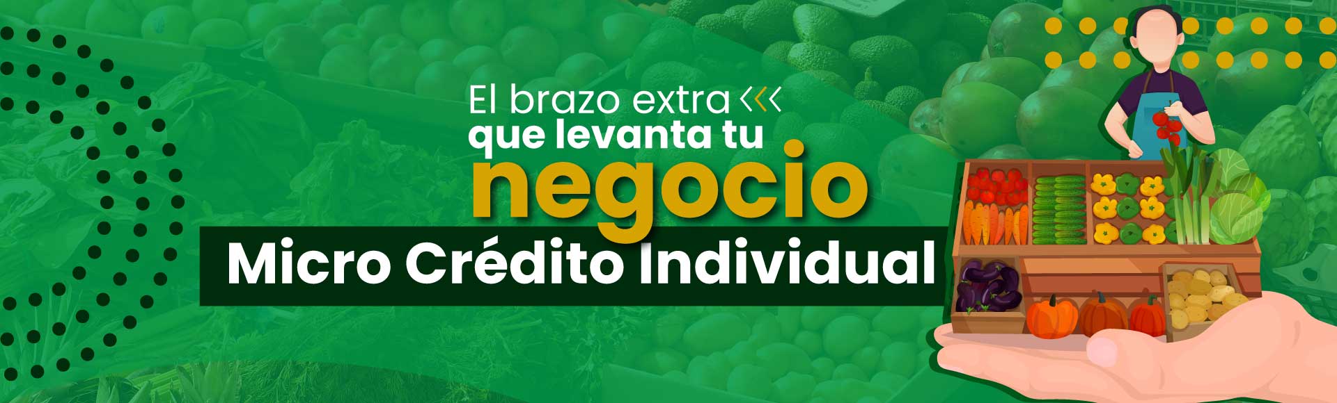 Encabezado Micro Crédito Individual - Banco Forjadores